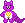 brightheart raccoon